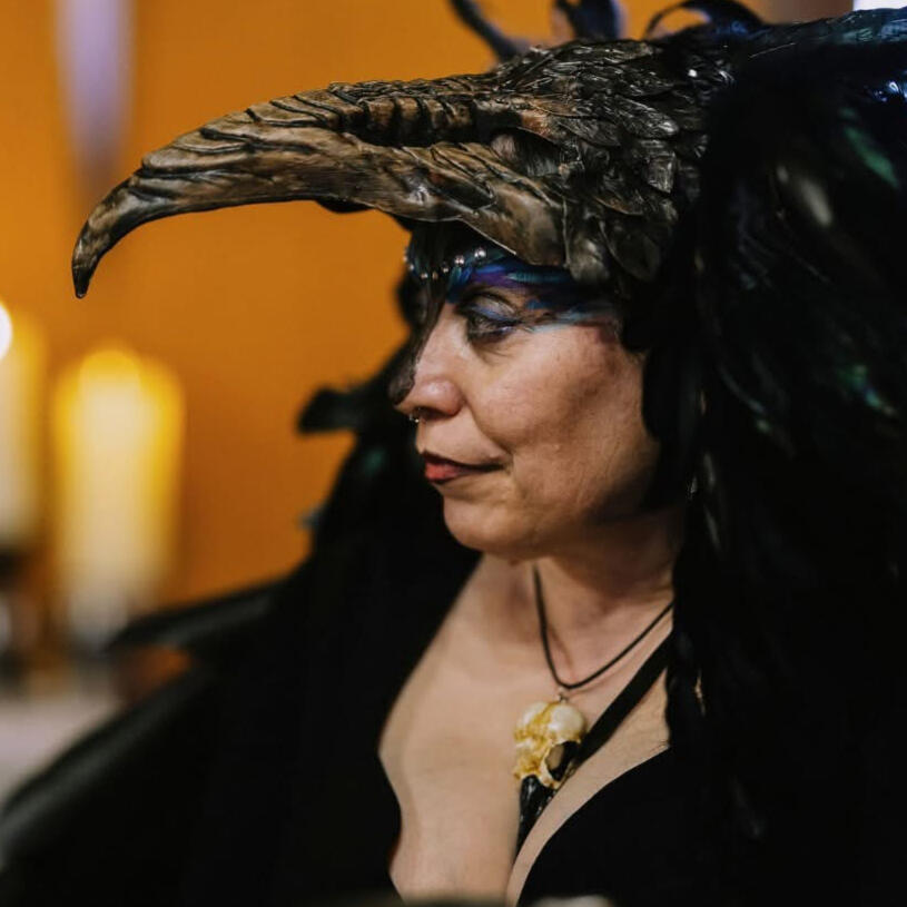 Wizard and Raven | Professional Storytellers Wizard and Raven | Professional Storytellers